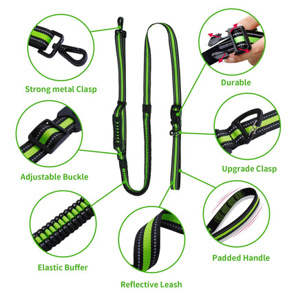 Hands-Free Running/Hiking Bungee Leash