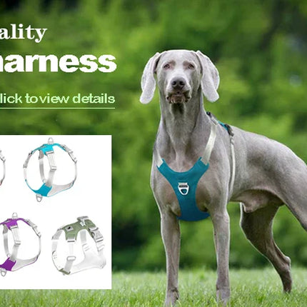 2-in-1 Pet Bath Brush – Soft Silicone Dog Cat Grooming & Massage Comb