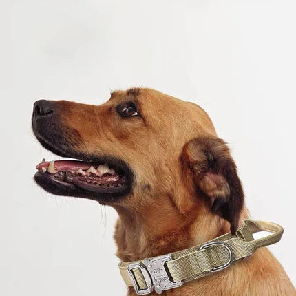 Durable Nylon Dog Collar & Reflective Leash Set – Tactical Training