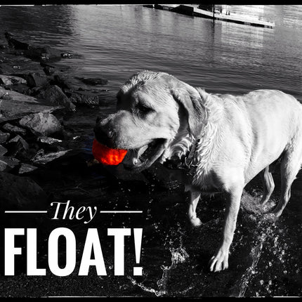 WUNDERball - Best Fetch Toy