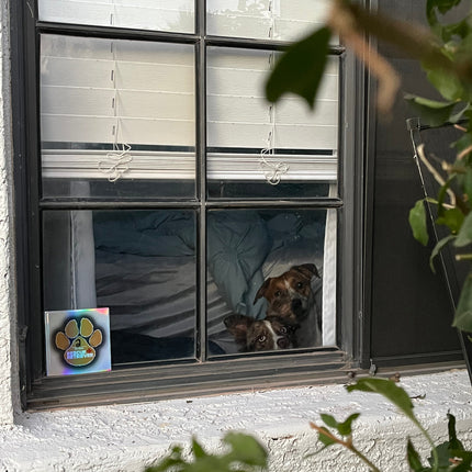 Rescue+Retriever Two Pack Decal