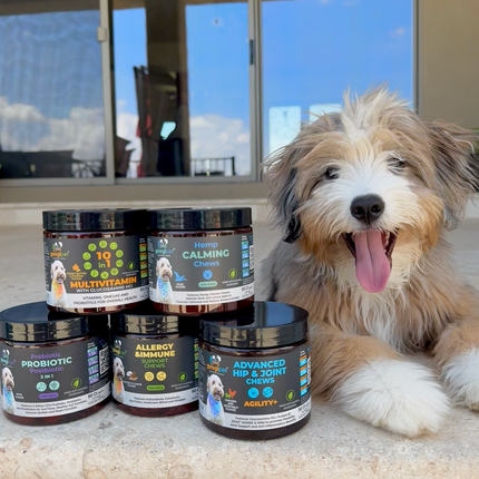 Allergy & Immune Support Chews for Dogs (Coconut & Carob Flavor)