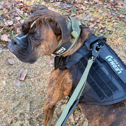 Heavy Duty 2.6 Dog Collar