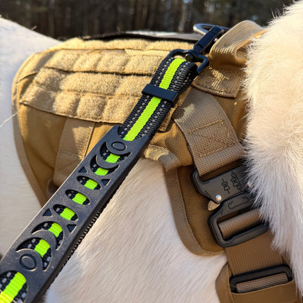 Hands-Free Running/Hiking Bungee Leash