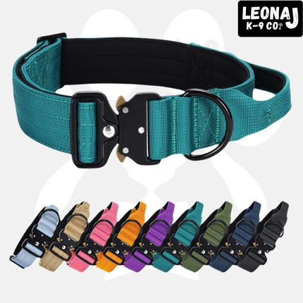 Luxury Sleek Padded Dog Collar