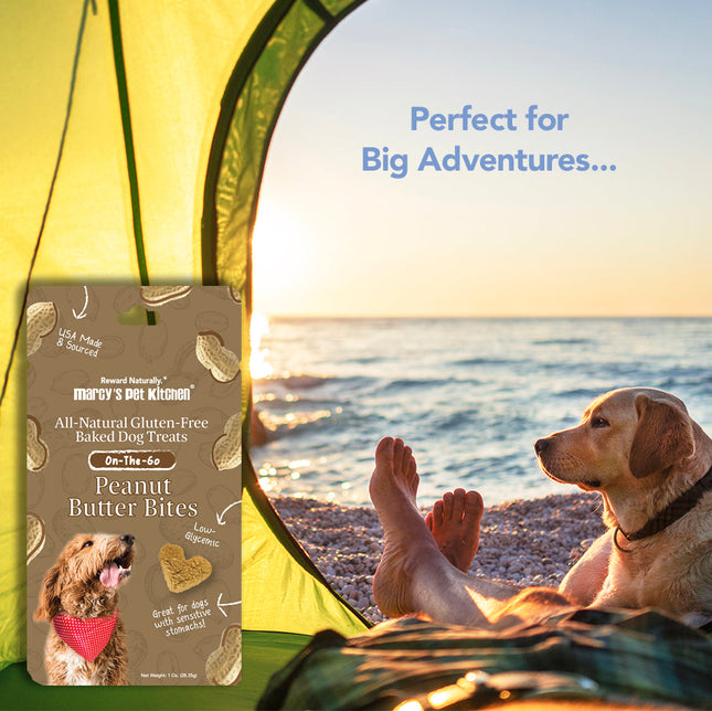 Marcy's Pet Kitchen® - 'On-The-Go' All-Natural, Vegan Peanut Butter Biscuit
