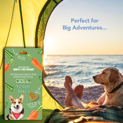 Marcy's Pet Kitchen® - 'On-The-Go' All-Natural, Vegan Veggie Biscuit 1 oz Healthy Dog Treats