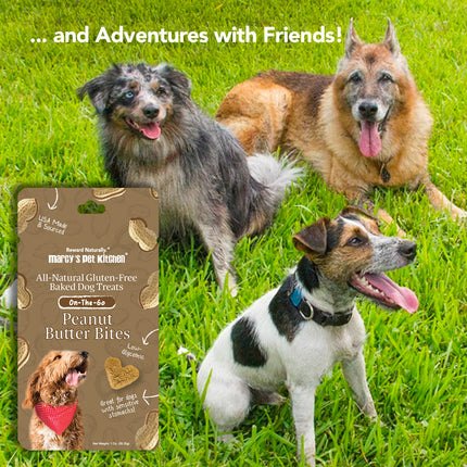 Marcy's Pet Kitchen® - 'On-The-Go' All-Natural, Vegan Peanut Butter Biscuit