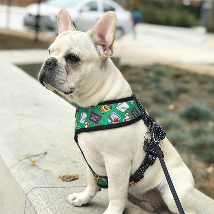 Teacher's Pet Reversible Harness