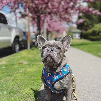 90s Baby Reversible Harness