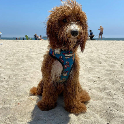 90s Baby Reversible Harness