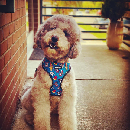 90s Baby Reversible Harness