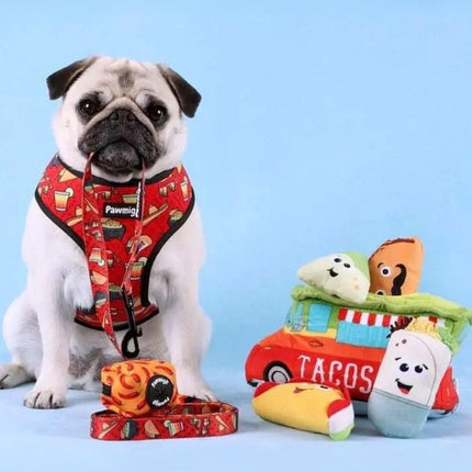 Taco Tuesday Leash Kit