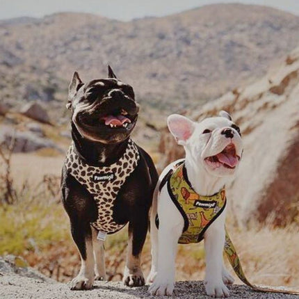 Wild Thing Leash Kit