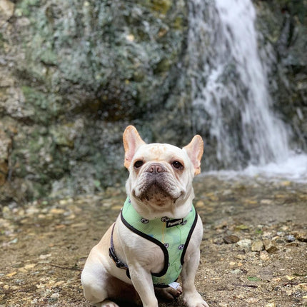 Muddy Paws Reversible Harness