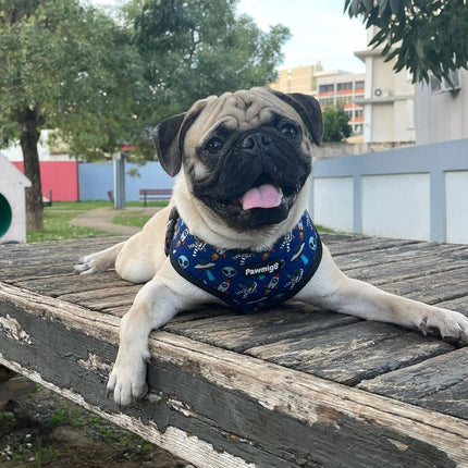 Extra-Furrestrial Reversible Harness