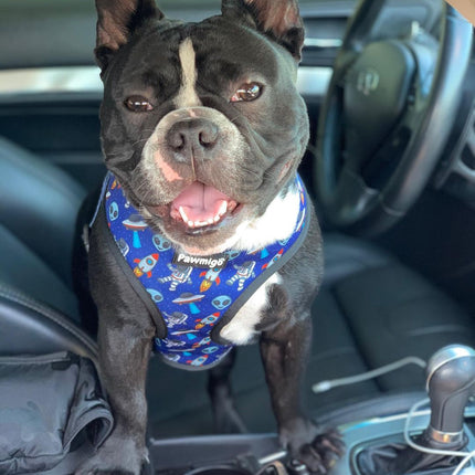 Extra-Furrestrial Reversible Harness