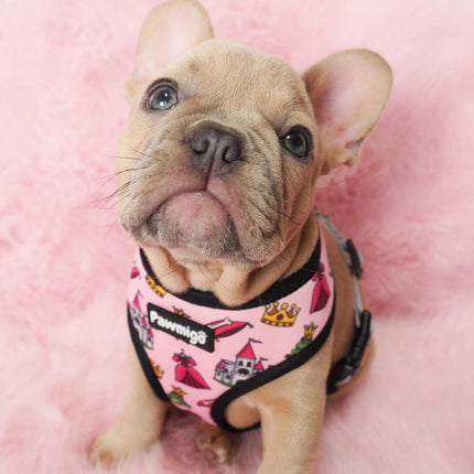 Fairytail Reversible Harness