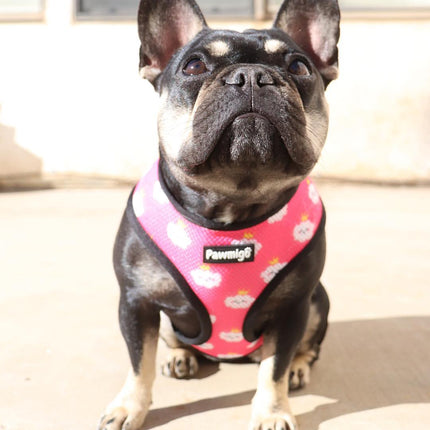 Fairytail Reversible Harness