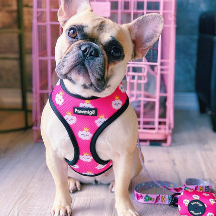 Fairytail Reversible Harness