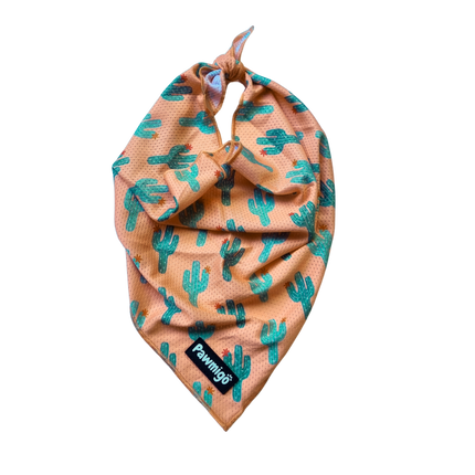 Succa For You Cooling Bandana