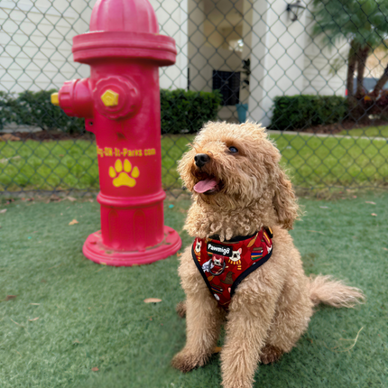 Pawgwarts Everyday Adjustable No-Pull Dog Harness