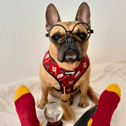 Pawgwarts Reversible Harness