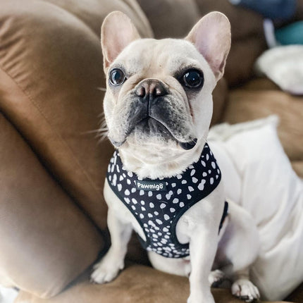 Polka Dog Reversible Harness