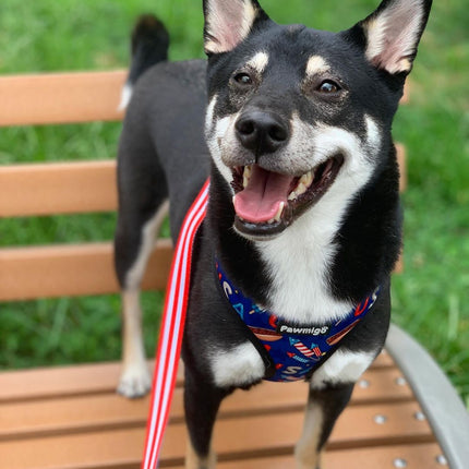 Red, White & Bark Reversible Harness