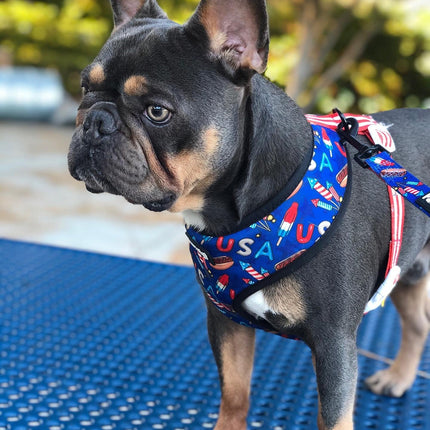 Red, White & Bark Reversible Harness
