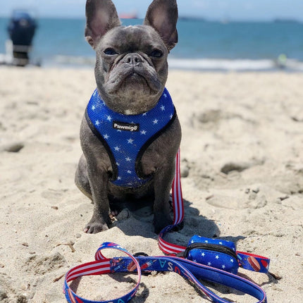 Red, White & Bark Reversible Harness
