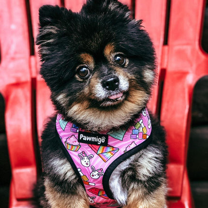 Slumber Pawty Reversible Harness