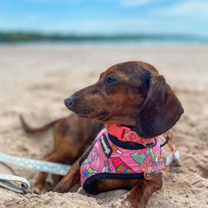 Slumber Pawty Reversible Harness