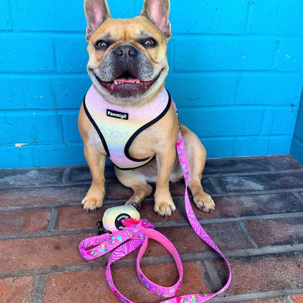 Slumber Pawty Leash Kit