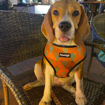 Succa For You Reversible Harness