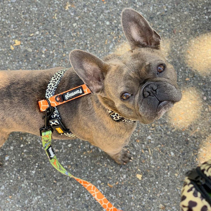 Wild Thing Leash Kit