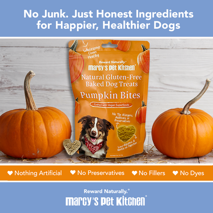 Marcy's Pet Kitchen- All Natural, Vegan Pumpkin Biscuit Dog Treats - Homemade-Vet Approved- Vegan, Gluten Free, Human Grade Ingredients, Made in The USA, Healthy Pumpkin Dog Treats