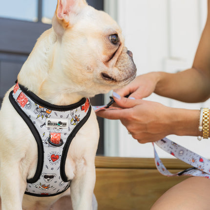 The Modern Dog Company - Bad to the Bone Harness