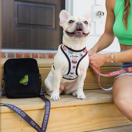 The Modern Dog Company - Bad to the Bone Harness