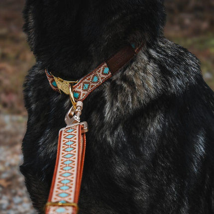 Southwest Spirit Leash
