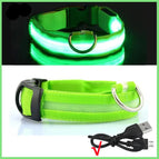 Green USB Charging / XS Neck 28-38 cm