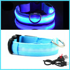 Blue USB Charging / XS Neck 28-38 cm