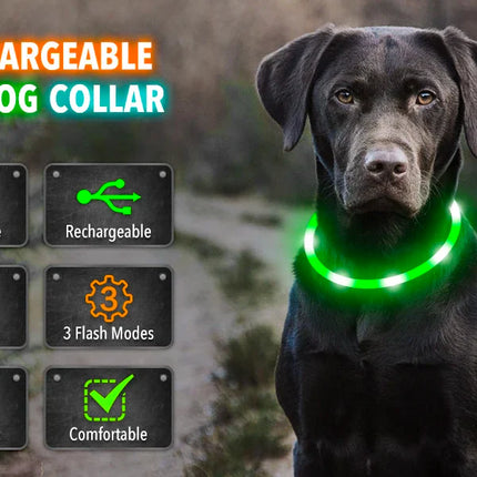 USB Rechargeable LED Glowing Dog Collar – Adjustable Night Safety