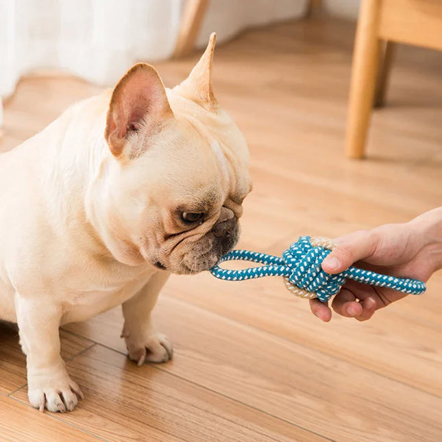 Dog Rope Toy for Strong Chewers and Puppies