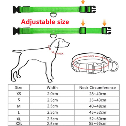 USB Rechargeable LED Glowing Dog Collar – Adjustable Night Safety