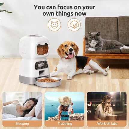 3.5L Automatic Pet Feeder for Cats Wi-Fi
