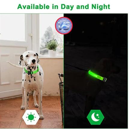 USB Rechargeable LED Glowing Dog Collar – Adjustable Night Safety