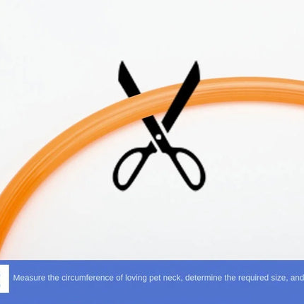 USB Rechargeable LED Glowing Dog Collar – Adjustable Night Safety