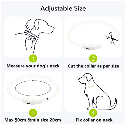 USB Rechargeable LED Glowing Dog Collar – Adjustable Night Safety