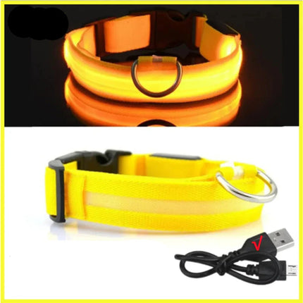USB Rechargeable LED Glowing Dog Collar – Adjustable Night Safety